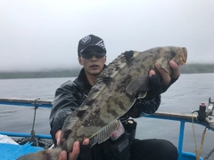 ホッケの釣果