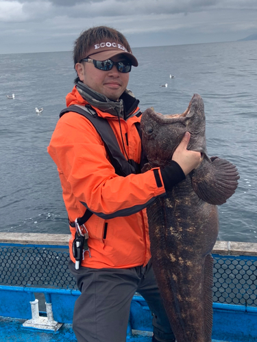 オオカミウオの釣果