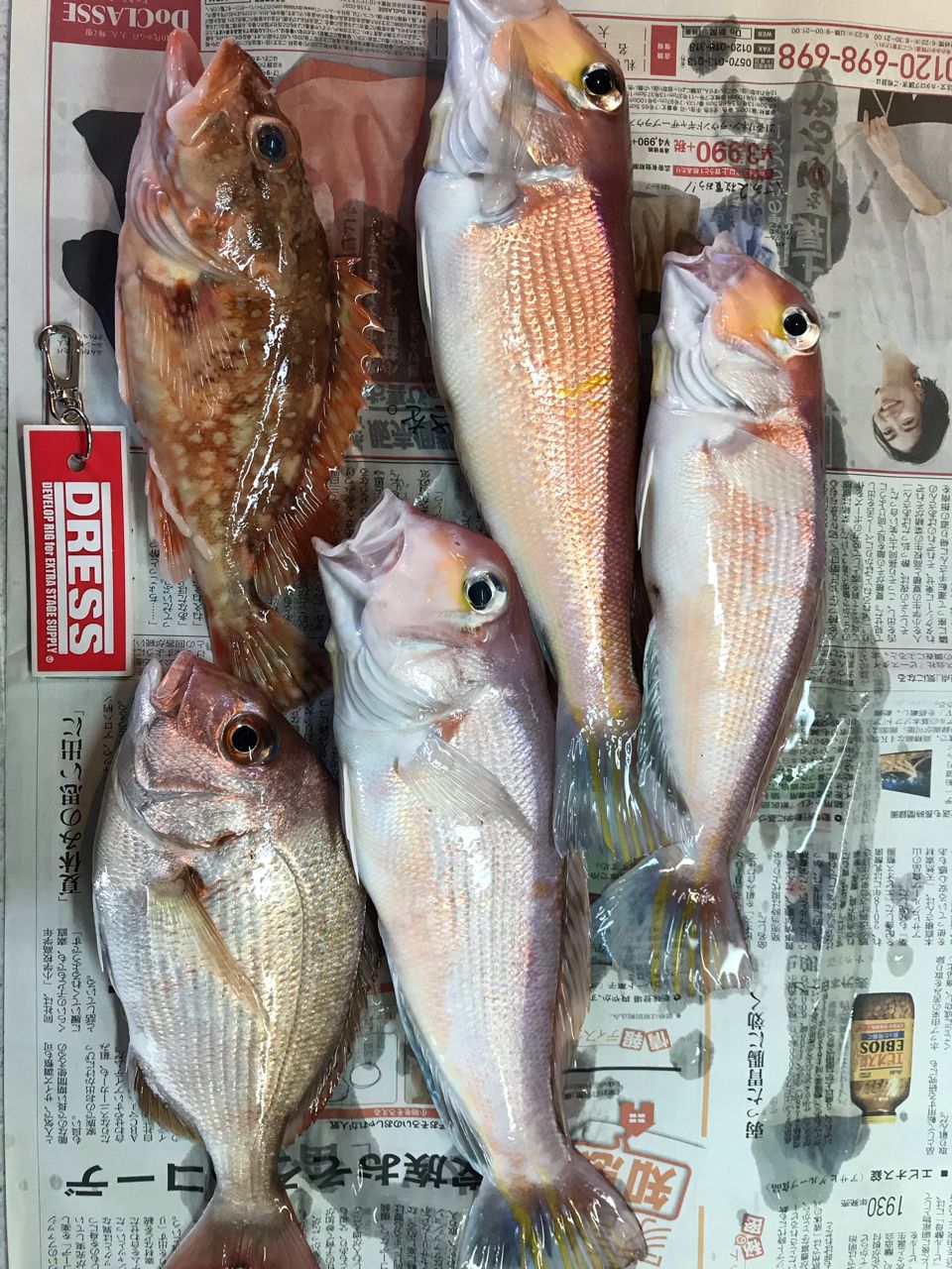 アマダイ