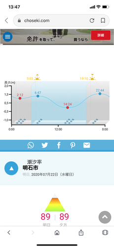 タコの釣果