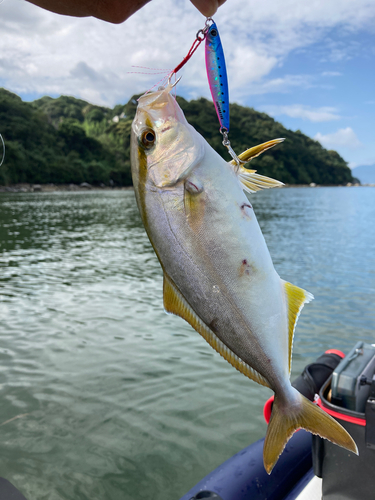 ネリゴの釣果