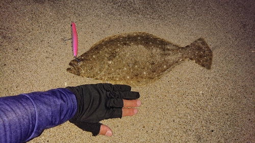 ソゲの釣果