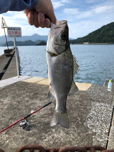 釣果