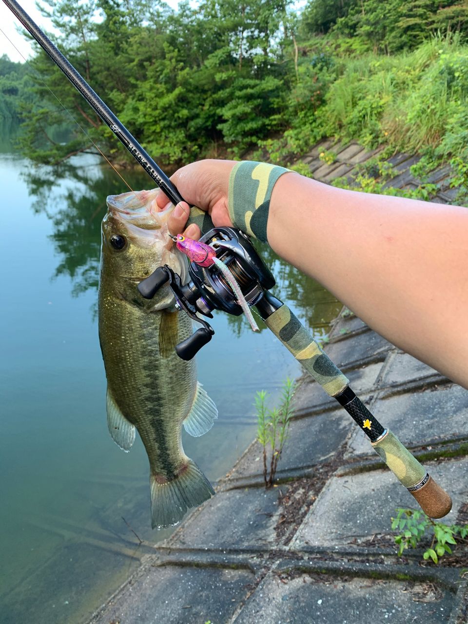 ブラックバスの釣果写真