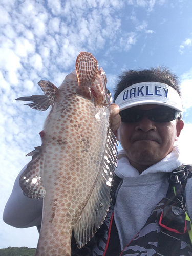 オオモンハタの釣果