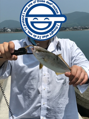 ネリゴの釣果