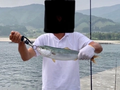 イナダの釣果