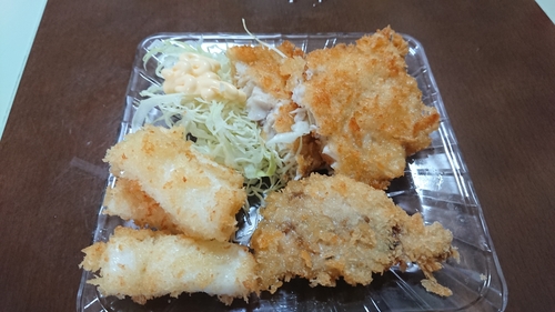 ショゴの釣果