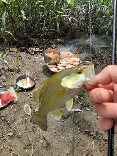 釣果