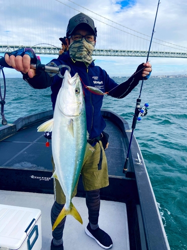 ハマチの釣果