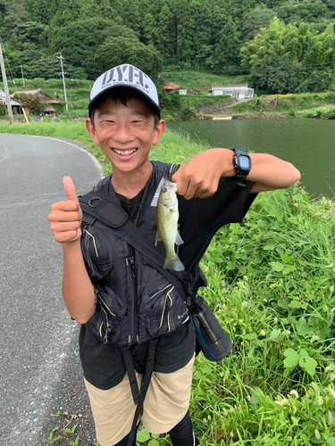 ブラックバスの釣果