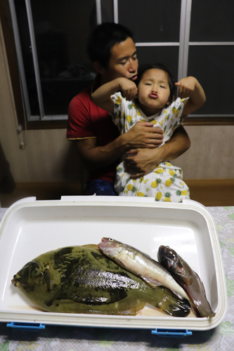 カレイの釣果