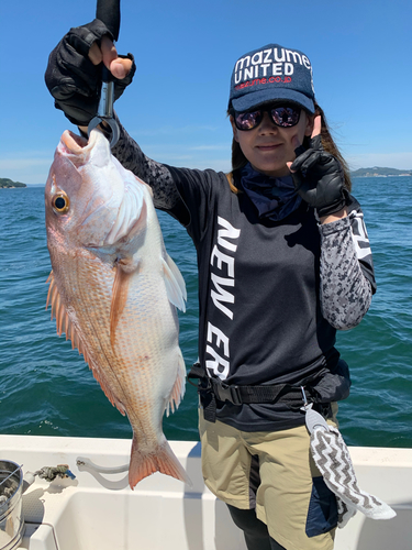 マダイの釣果