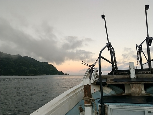 オオモンハタの釣果