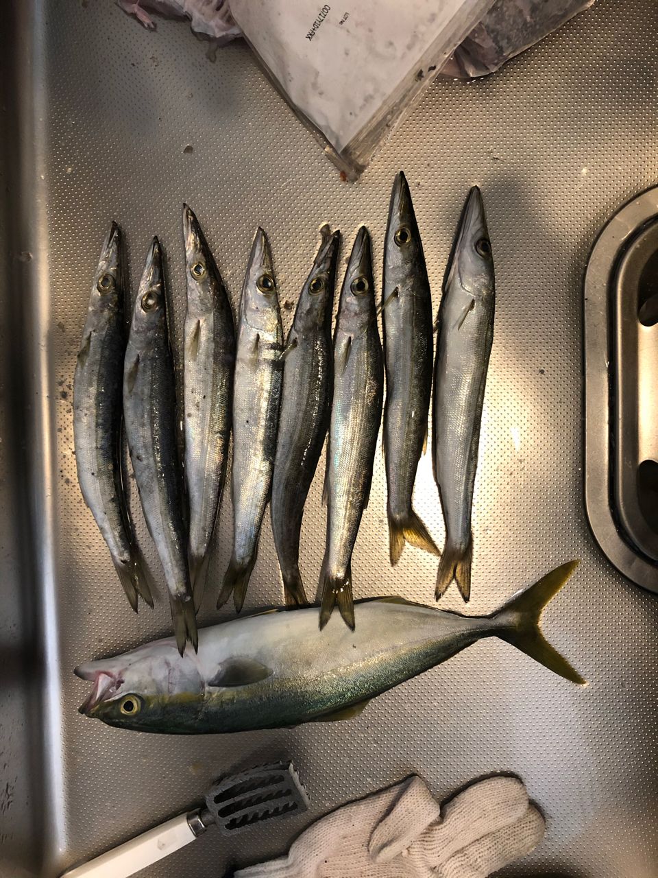 カマス