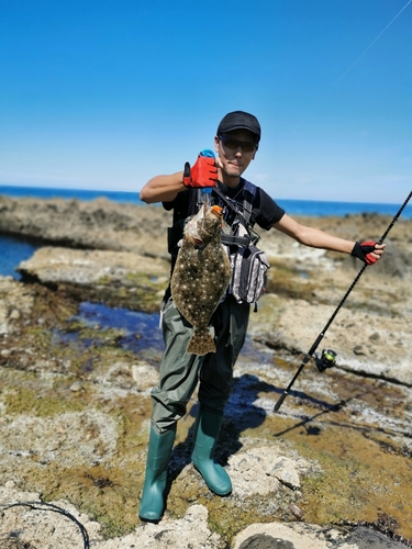 ヒラメの釣果