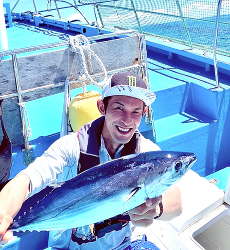 カツオの釣果