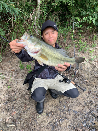 ブラックバスの釣果