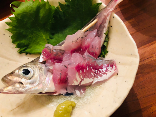 タチウオの釣果