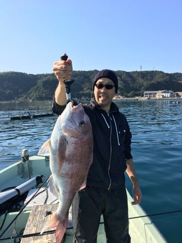 マダイの釣果