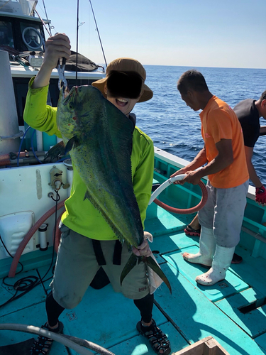 シイラの釣果