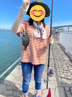 クロメジナの釣果