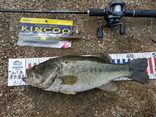 ブラックバスの釣果