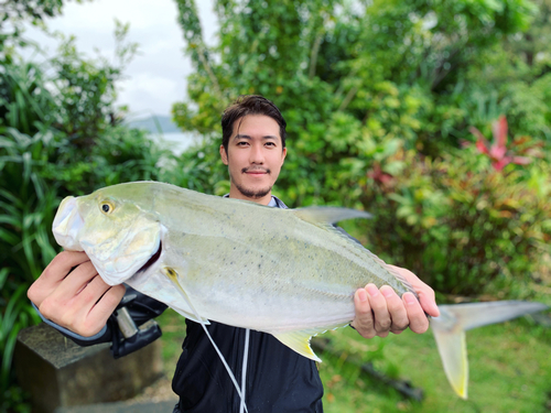 オニヒラアジの釣果