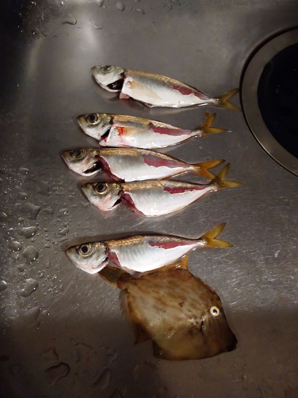 アジ