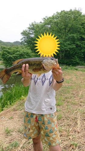 ブラックバスの釣果