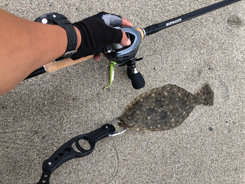 ソゲの釣果