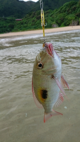 釣果