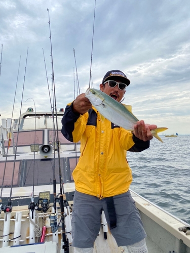 イナダの釣果