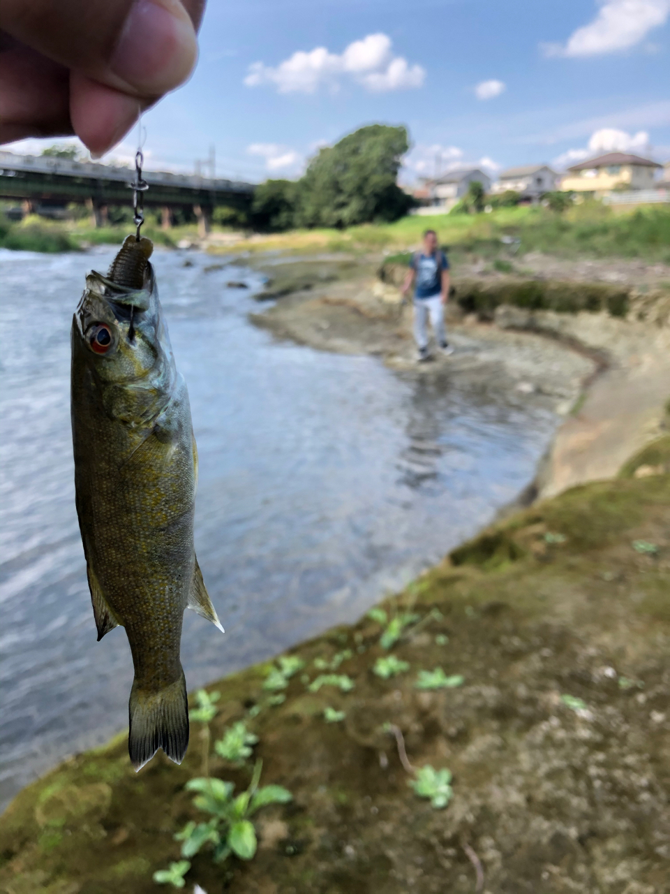 スモールマウスバス