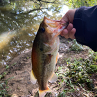 ヨウスケの釣果