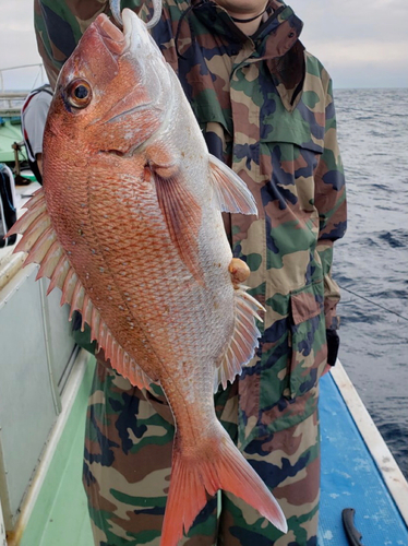 タイの釣果