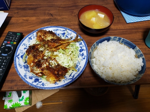 シマアジの釣果