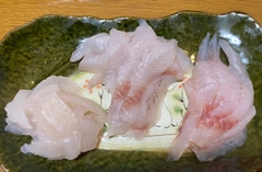 カワハギの釣果