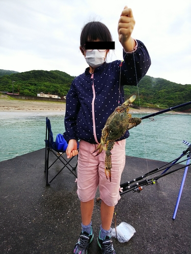 シマアジの釣果