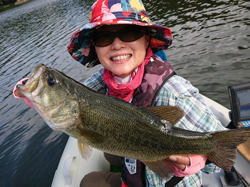 ブラックバスの釣果