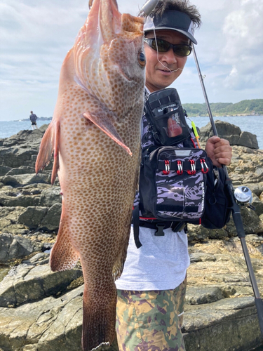 オオモンハタの釣果