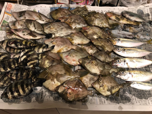 釣果