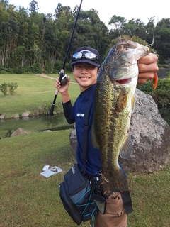 ブラックバスの釣果