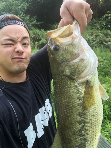 ブラックバスの釣果