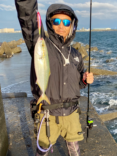 ツバスの釣果