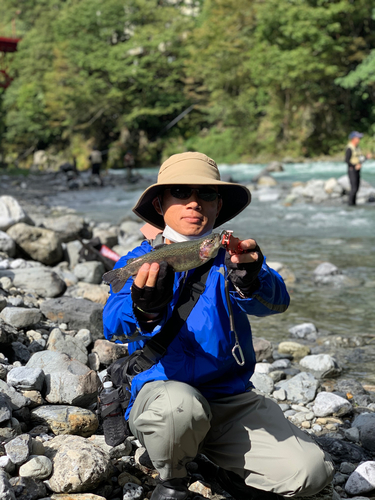 トラウトの釣果