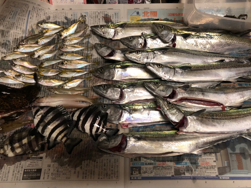 釣果