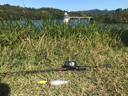 ハモの釣果