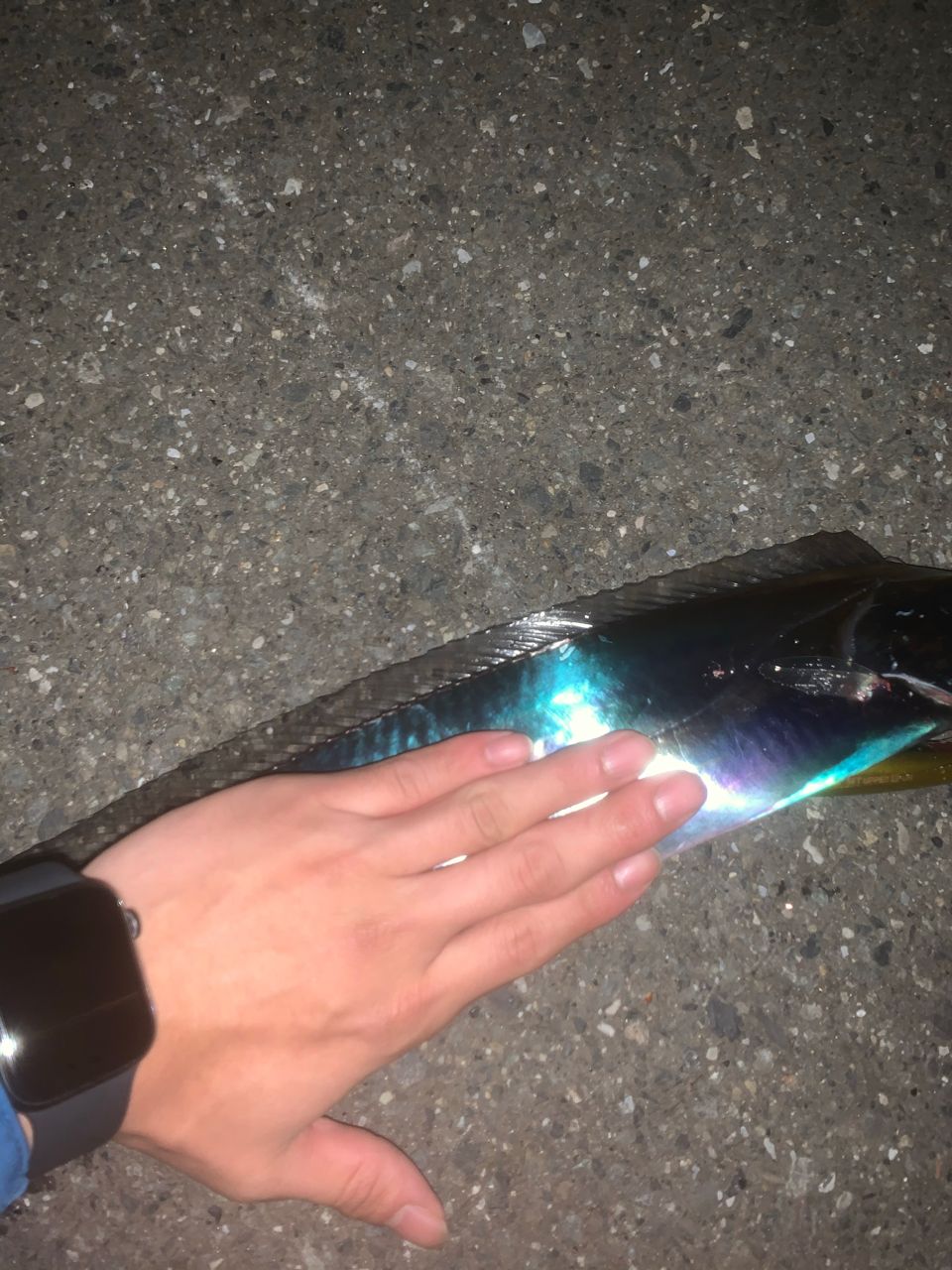 タチウオ