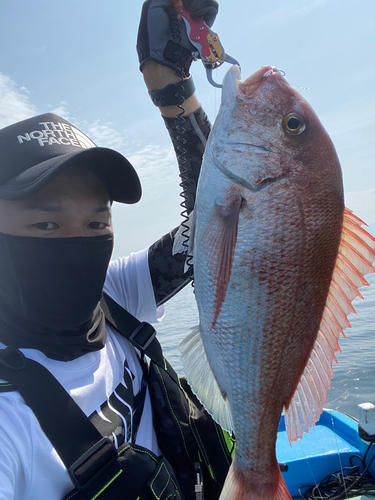 タイの釣果